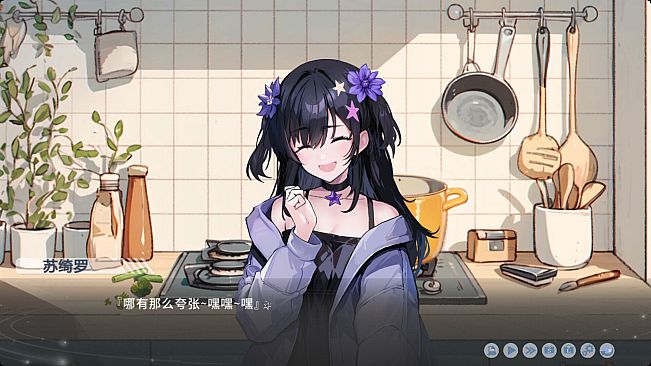 心所向往的北极星