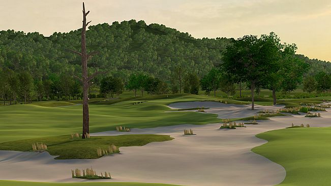 GOLF+ - Sweetens Cove Golf Club