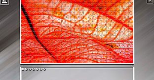 Super Jigsaw Puzzle: Generations - Red Things