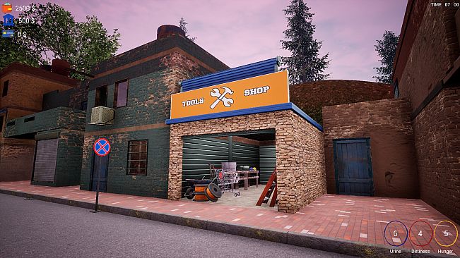 TRADER LIFE SIMULATOR