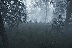 Demise: Survival Uncharted