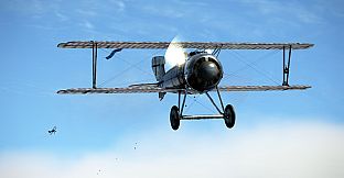 IL-2 Sturmovik: SSW D.IV Collector Plane