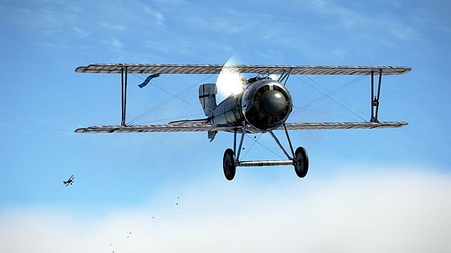 IL-2 Sturmovik: SSW D.IV Collector Plane