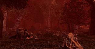I Hear the Forest