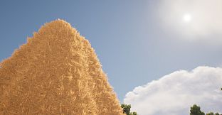 Needle In A Haystack