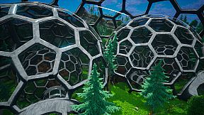 My Money Grows On Trees