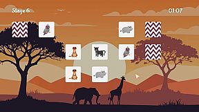 Memory Holder: Animal Kingdom