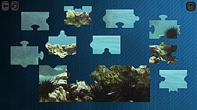 Puzzles for smart: Underwater Kingdom