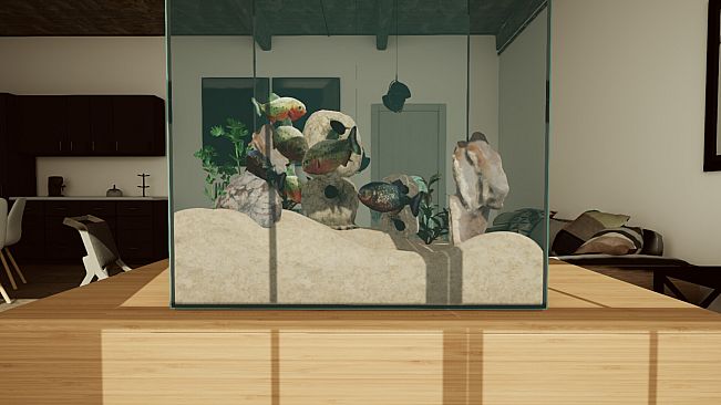 Aquarium Designer - Amazonia