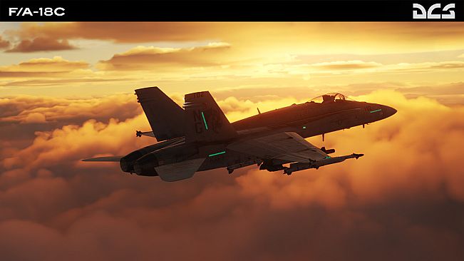 DCS: F/A-18C