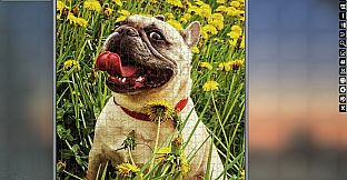 Jigsaw Puzzle Pack - Pixel Puzzles Ultimate: Dogs