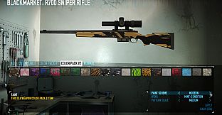 PAYDAY 2: Weapon Color Pack 2