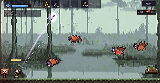 Quiver Story