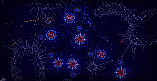 Microcosmum: survival of cells - Campaign  "New life"