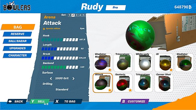 Bowlers : The bowling experience