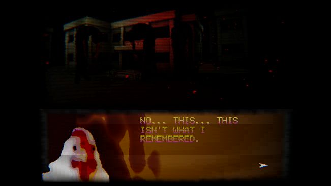 what did the chicken see