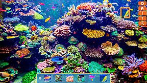 Just Find It Collector's Edition