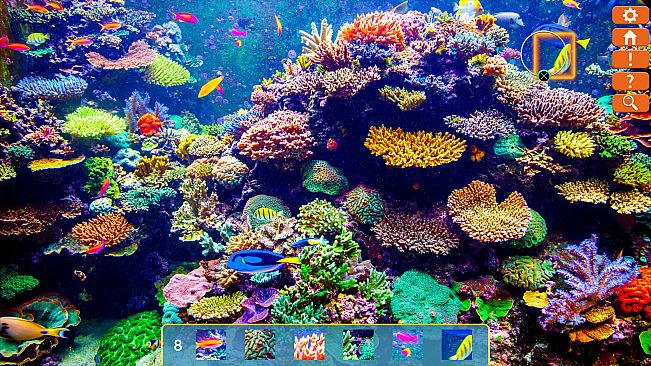 Just Find It Collector's Edition