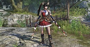WARRIORS OROCHI 4/無双OROCHI３ - Special Costumes Pack