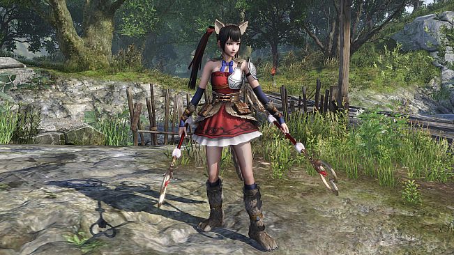 WARRIORS OROCHI 4/無双OROCHI３ - Special Costumes Pack