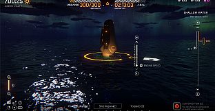 Echoes of Eta