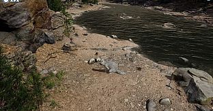 Cazzarion: Raccoon Valley