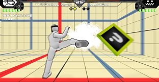 Schwarzerblitz - FOOTSIES Collaboration Costume