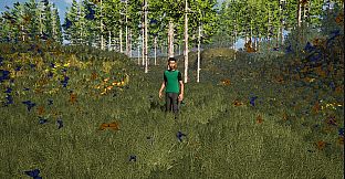 The Fox, The Forest & The Darkness