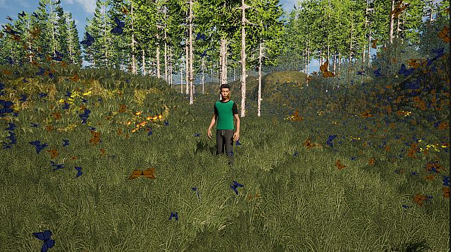 The Fox, The Forest & The Darkness