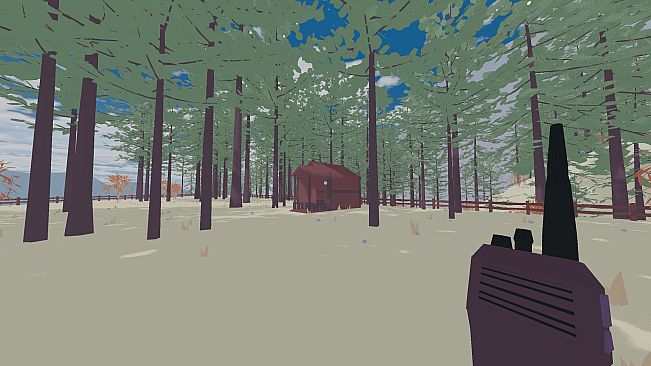 my brother lives in a canyon