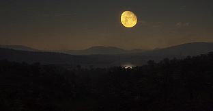 theHunter: Call of the Wild - Parque Fernando