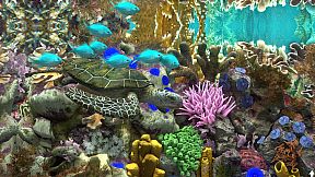 Behind Glass: Aquarium Simulator