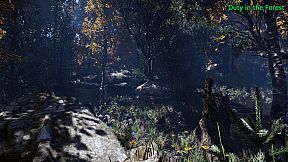 Duty in the Forest