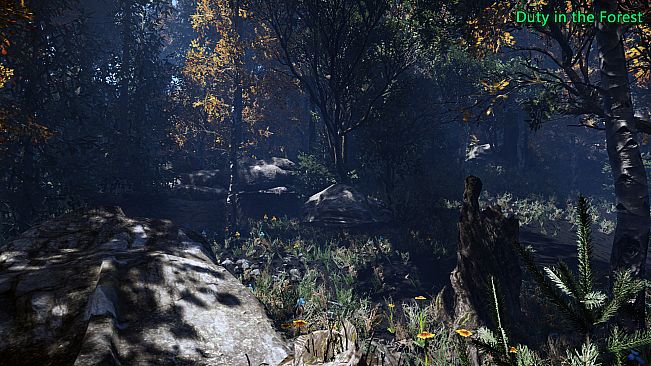 Duty in the Forest