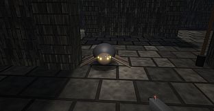 The Procedural Maze