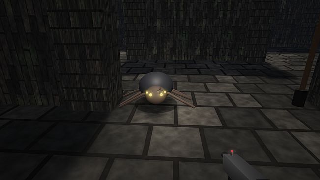 The Procedural Maze