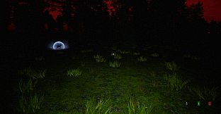 Silent Investigation