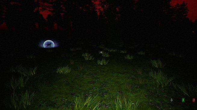 Silent Investigation