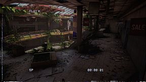 The Oldest View: Rolling Giant