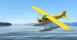 RealFlight Evolution – Hangar 9 J-3 Cub 10cc