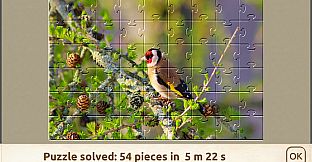 House of Jigsaw: Amazing Birds