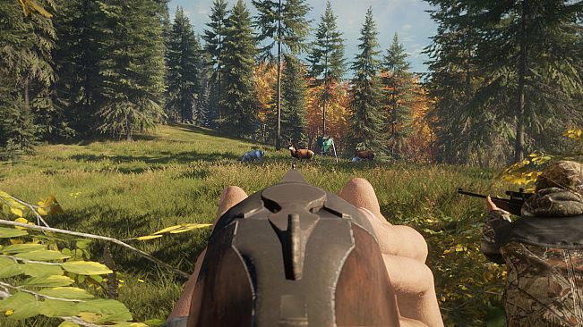 theHunter: Call of the Wild - Game Feeder Pack