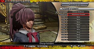 Voluminous Ponytail & Golden Voluminous Ponytail