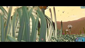 Catyph: The Kunci Experiment