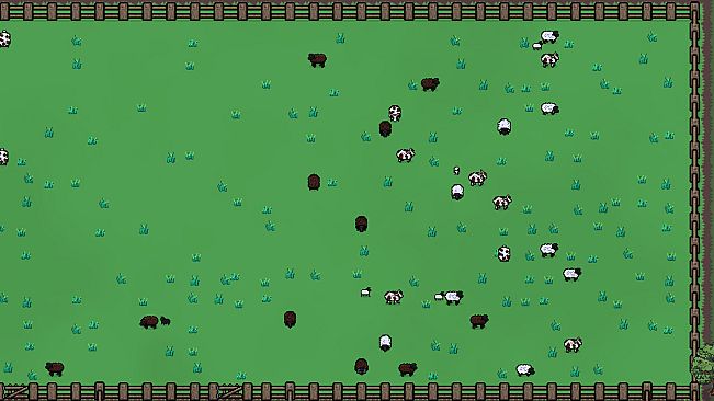 Sheepscape