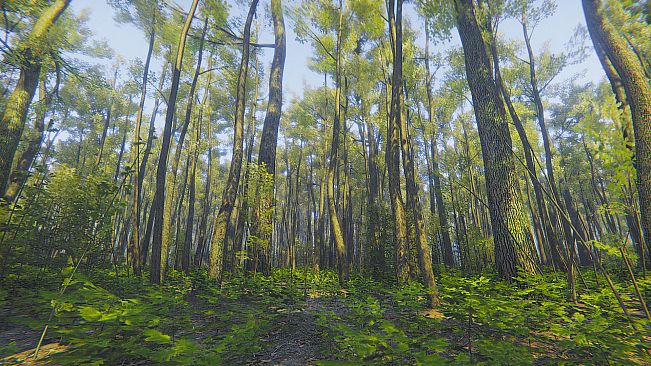 Mindfulness Simulator - ASMR Meditation Game