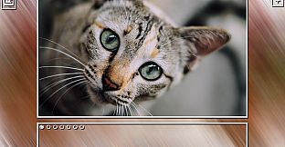 Super Jigsaw Puzzle: Generations - Cats Puzzles