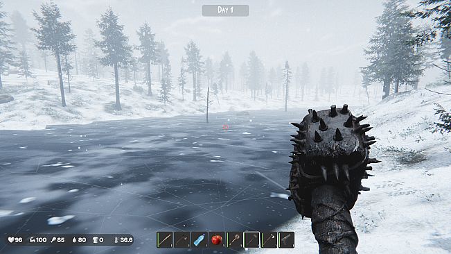 The Silent Wild