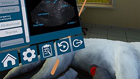 VetVR Veterinary Simulator
