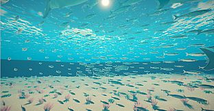 My Little Ocean